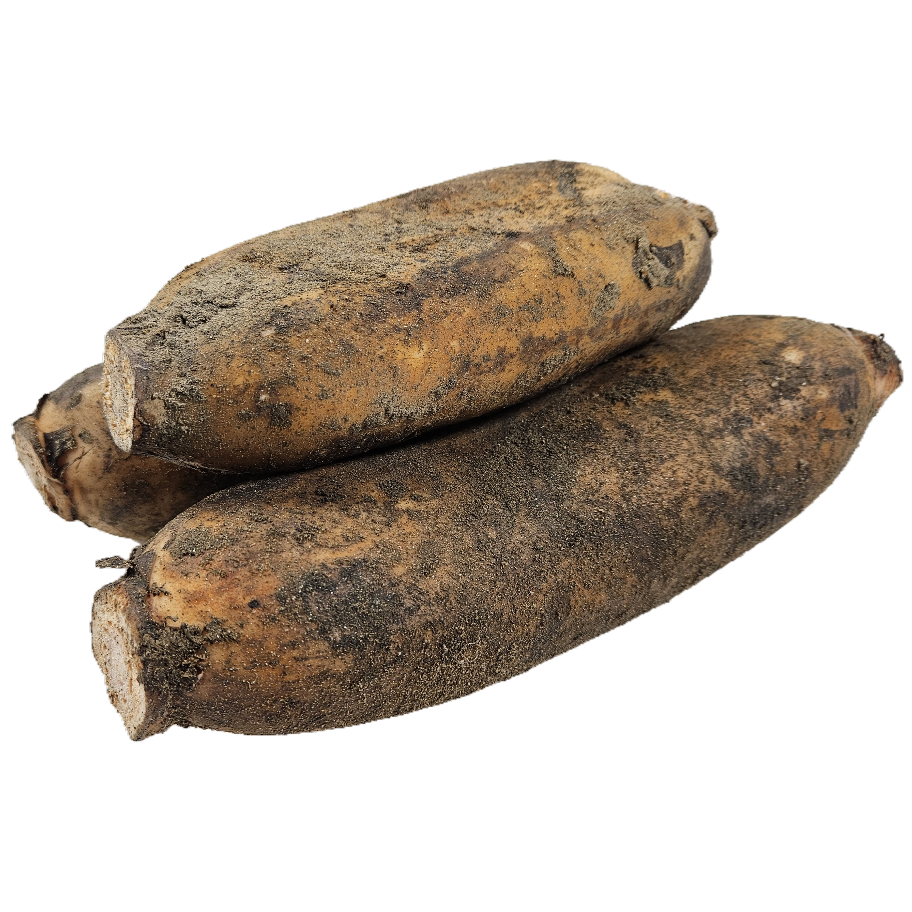 [사계농산]새벽에 수확한 햇 연근 17,790원