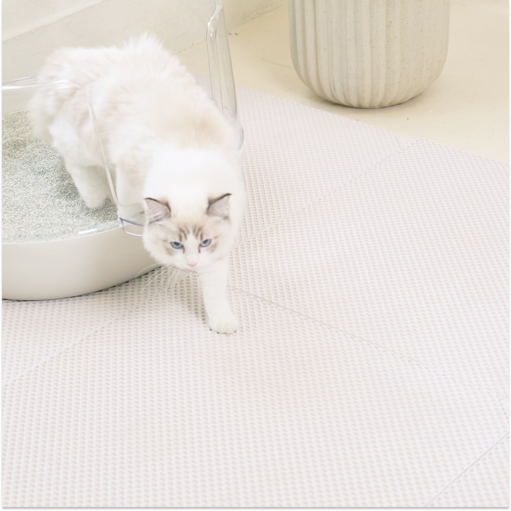 냥쌤 캐치매트 고양이 모래 사막화 방지 매트 화장실 패드, 1개, 큐브타입 23,000원