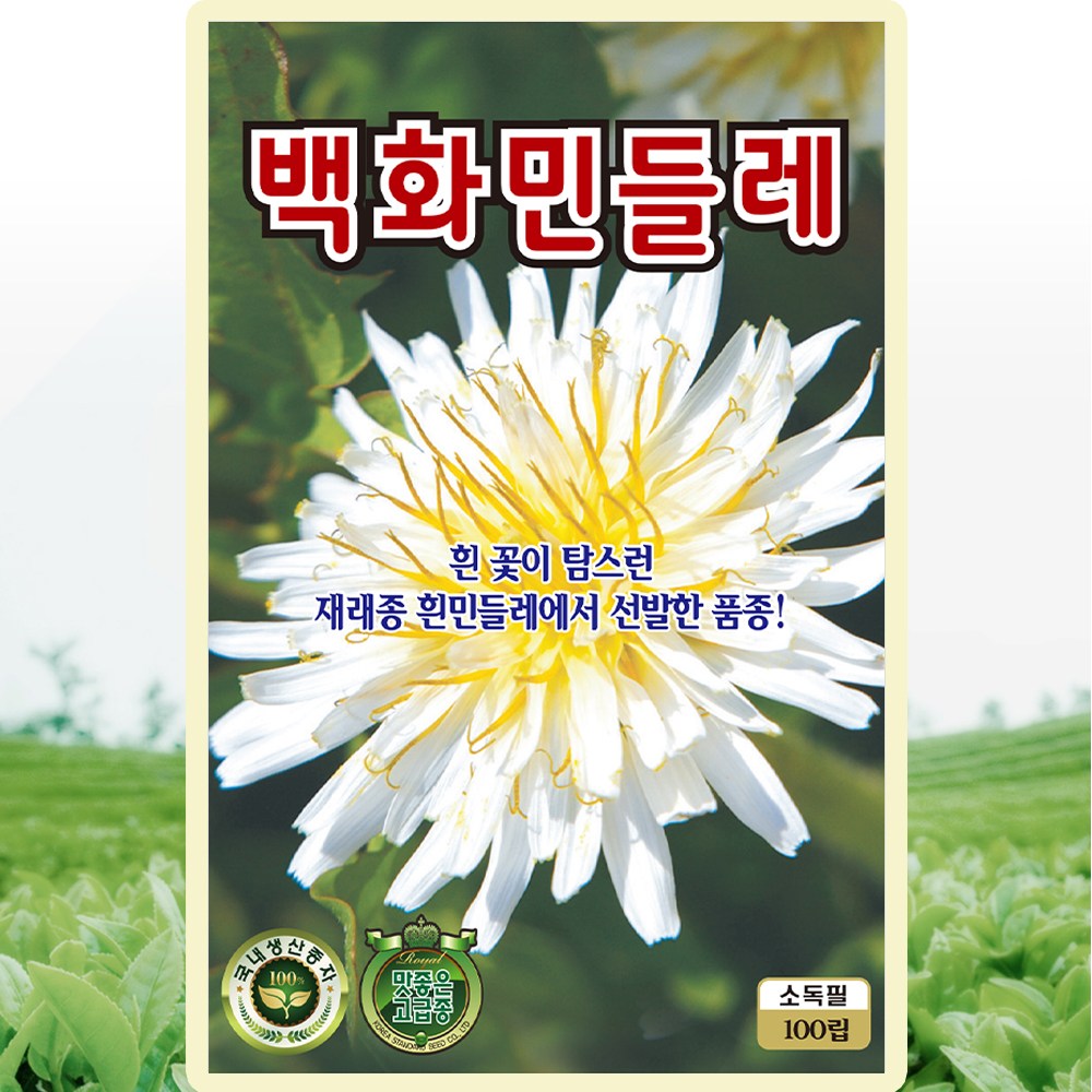 KS종묘 백화민들레 씨앗 100립 흰민들레씨 종자 2,770원