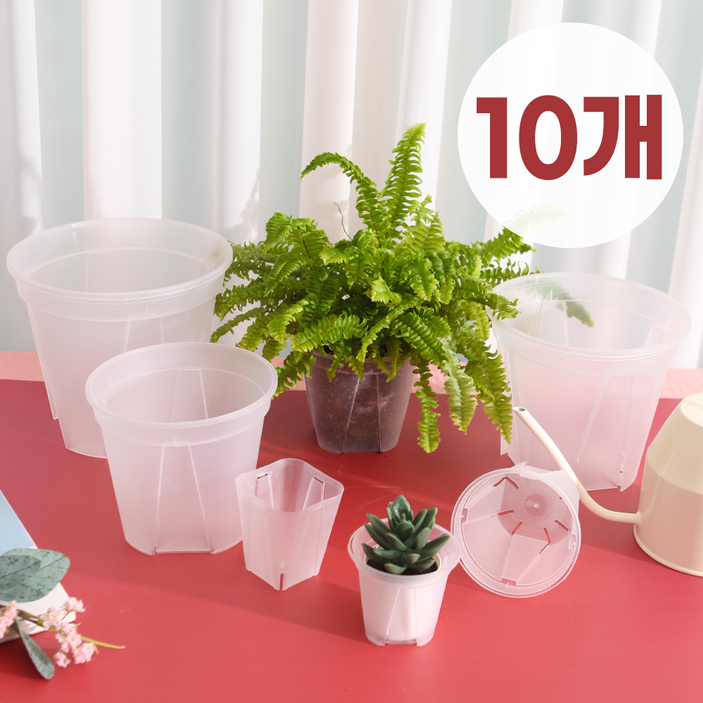세경팜 투명 슬릿화분 원형 10개입 일본카네야 정품 제라늄 삽목 슬릿분 플라스틱 화분 13,500원