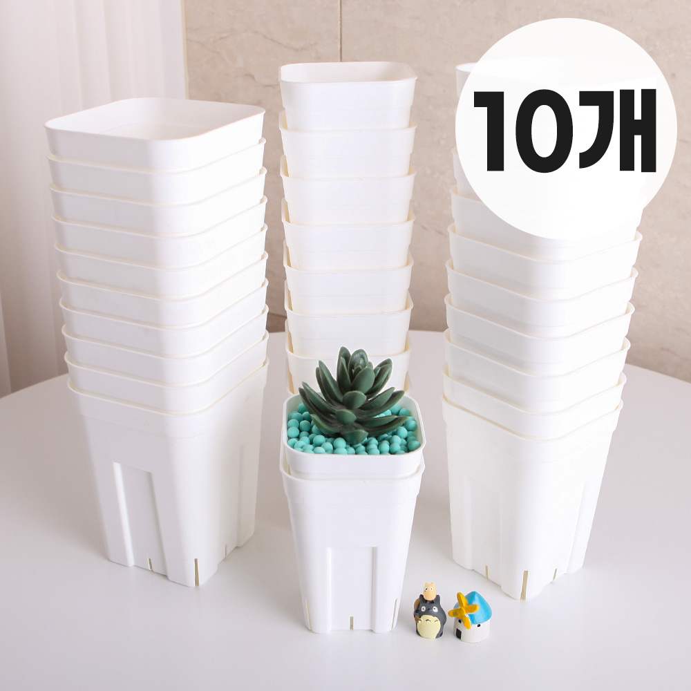 세경팜 일본 프레스테라 사각 슬릿화분 10개입 쇼츠 롱 슬릿분 15,000원