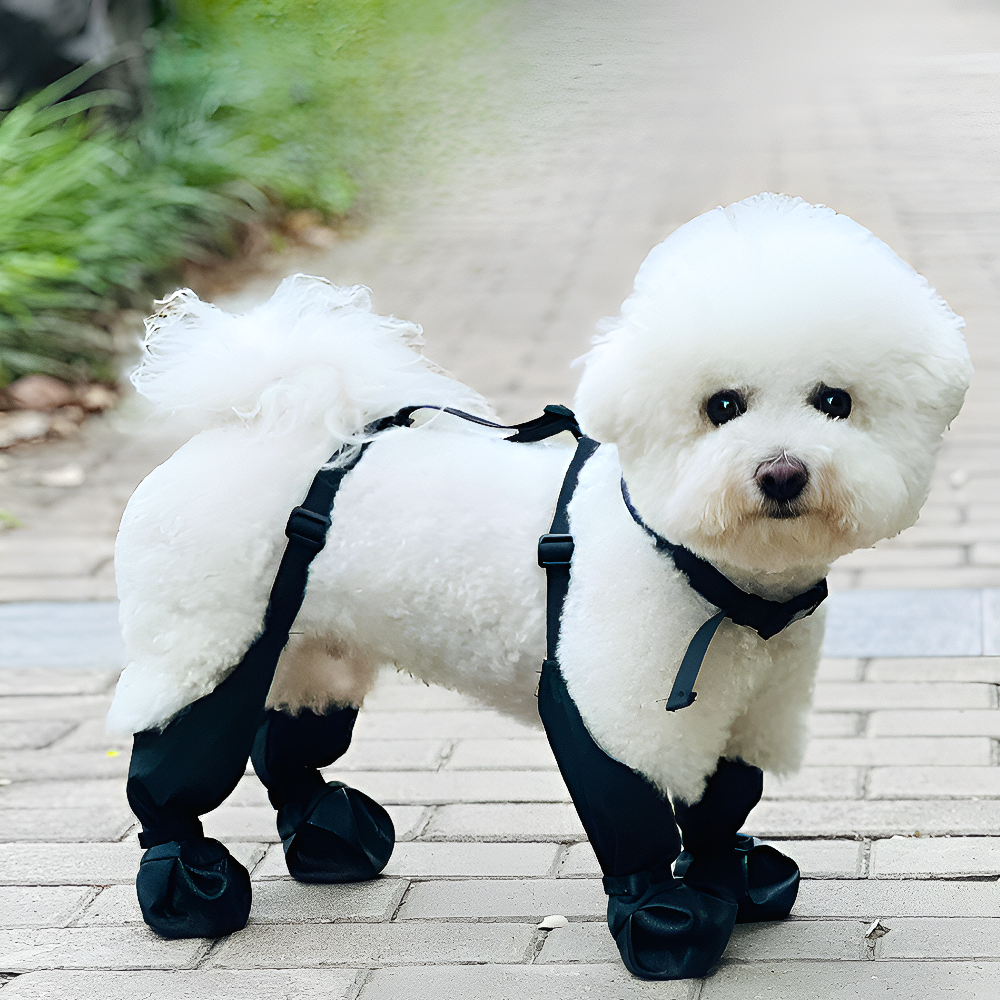 세요나 안심산책 강아지 신발 장화 13,800원