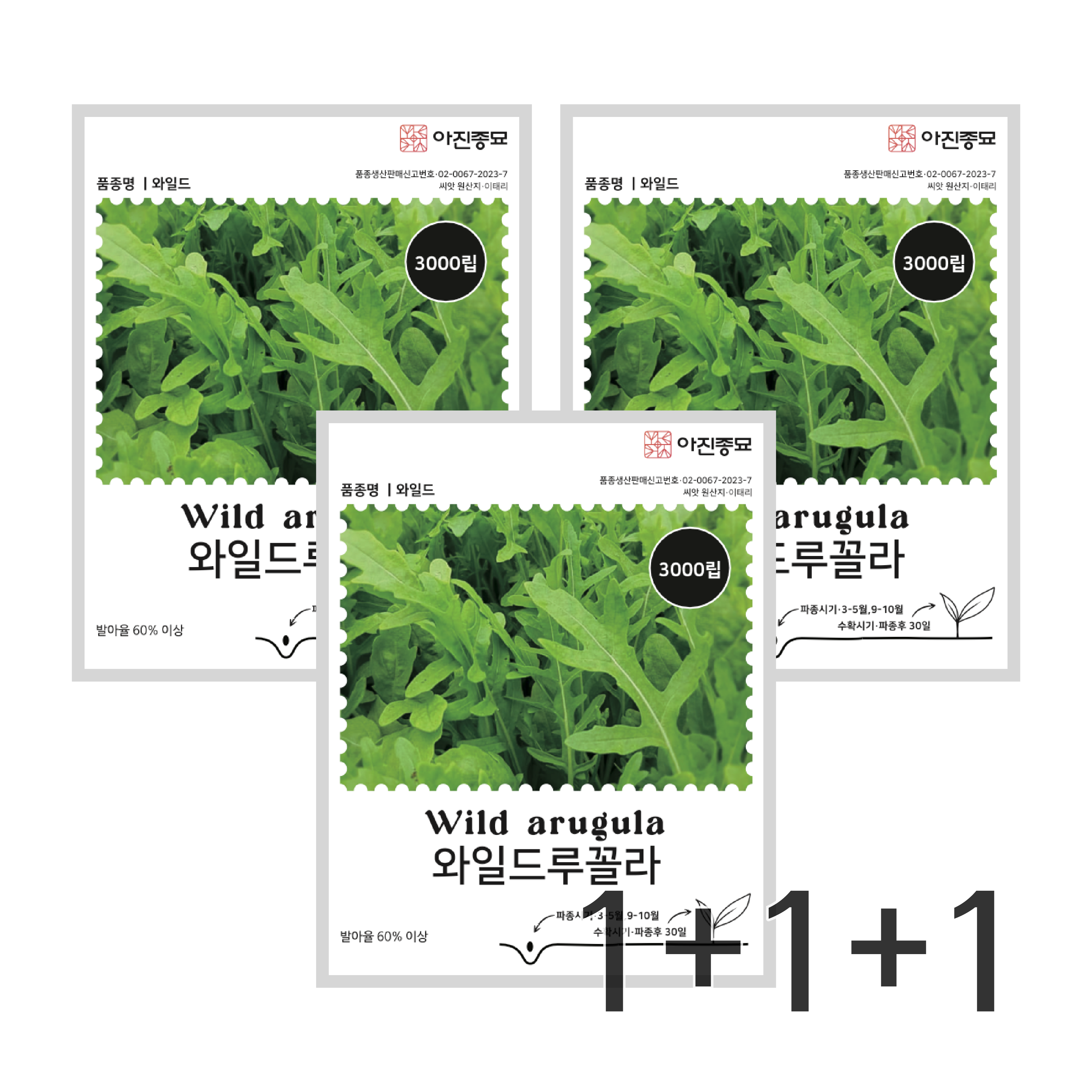 [주주씨앗] 와일드 루꼴라 씨앗 3000립 / 이태리 인기채소 로켓샐러드 향채소 씨앗, 3개 8,490원