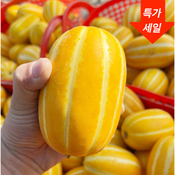 [황금당도] 초특가 제철 성주꿀참외 산지직송 19,400원