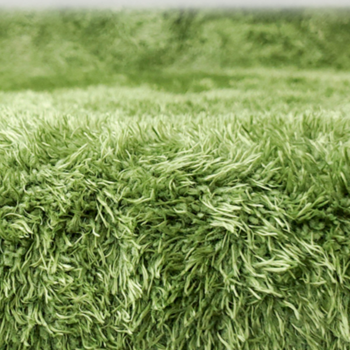 주스터디 극사실 파충류 이끼 모스매트 바닥재 11,900원