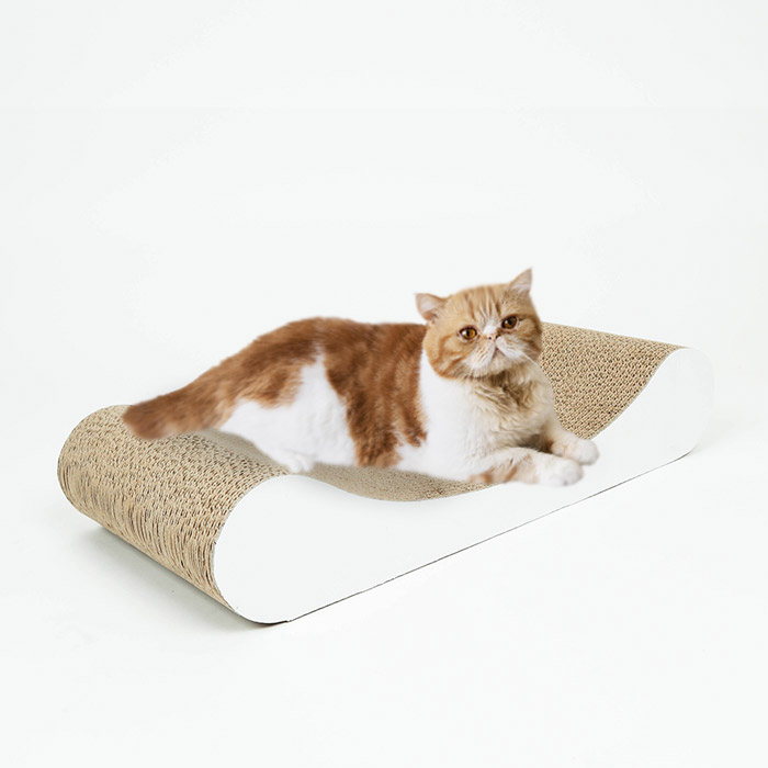 딩동펫 고양이 평판형 스크래쳐 11,000원