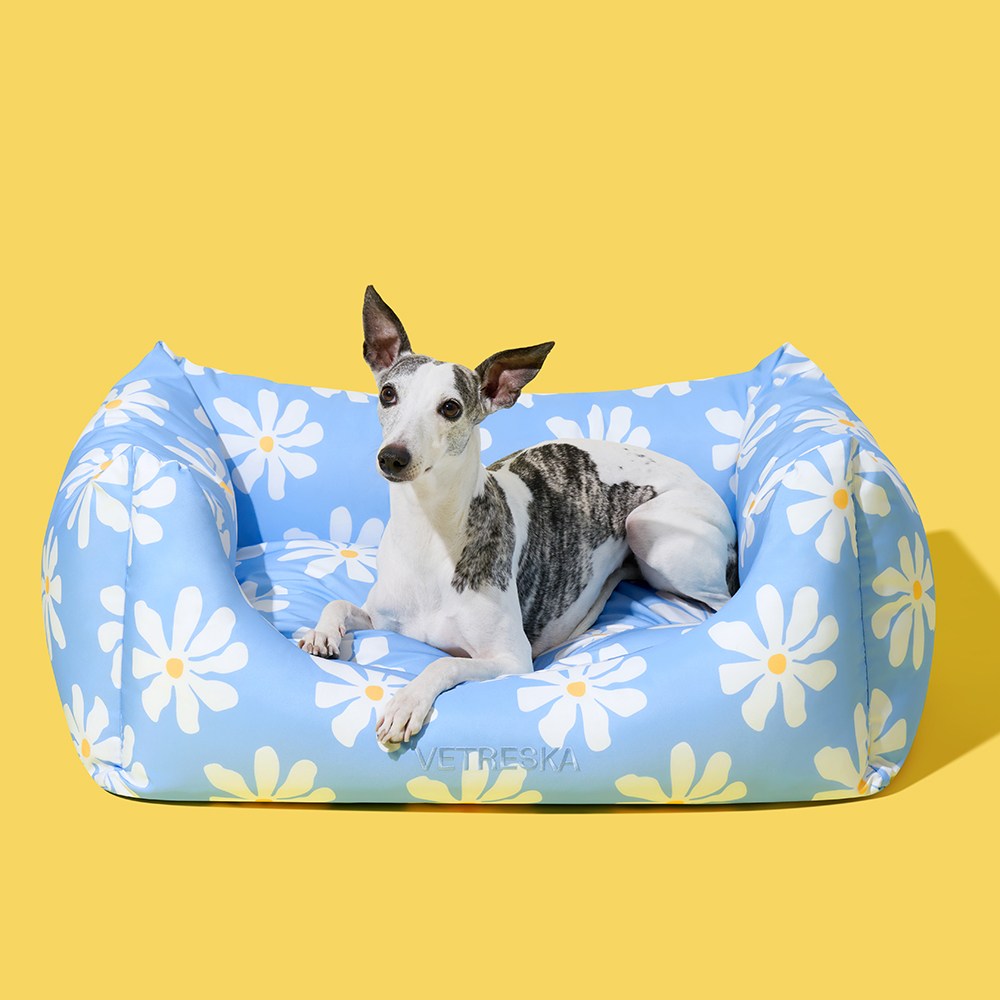 VETRESKA 더가치 데이지 펫 소파 142,000원