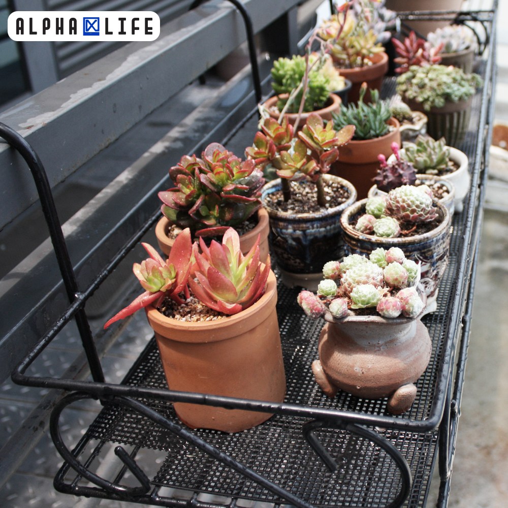 알파라이프(유엔유몰) 베란다걸이대 창문,화분,식물걸이대,난간걸이대 13,000원