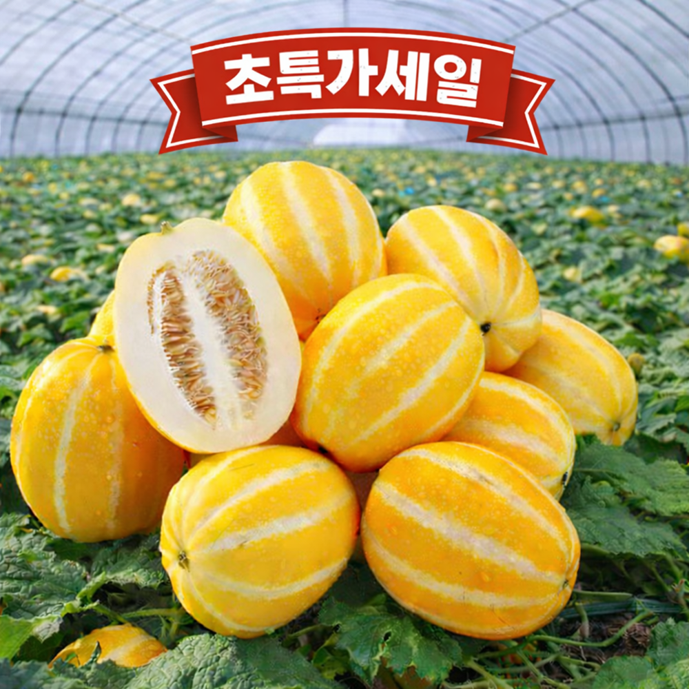 [재구매폭주] 고당도 성주참외 당일수확 산지직송 18,900원