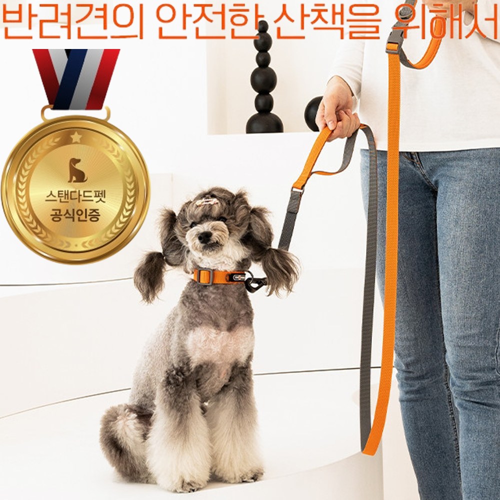 STANDARDPET 강아지 개줄 목줄 반려견 애완견 핸드프리 산책줄 애견 리드줄 목줄세트 산책용품 23,000원