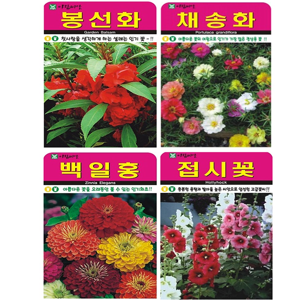 인기 꽃 씨앗 4종 (봉선화+채송화+백일홍+접시꽃), 1세트 9,980원