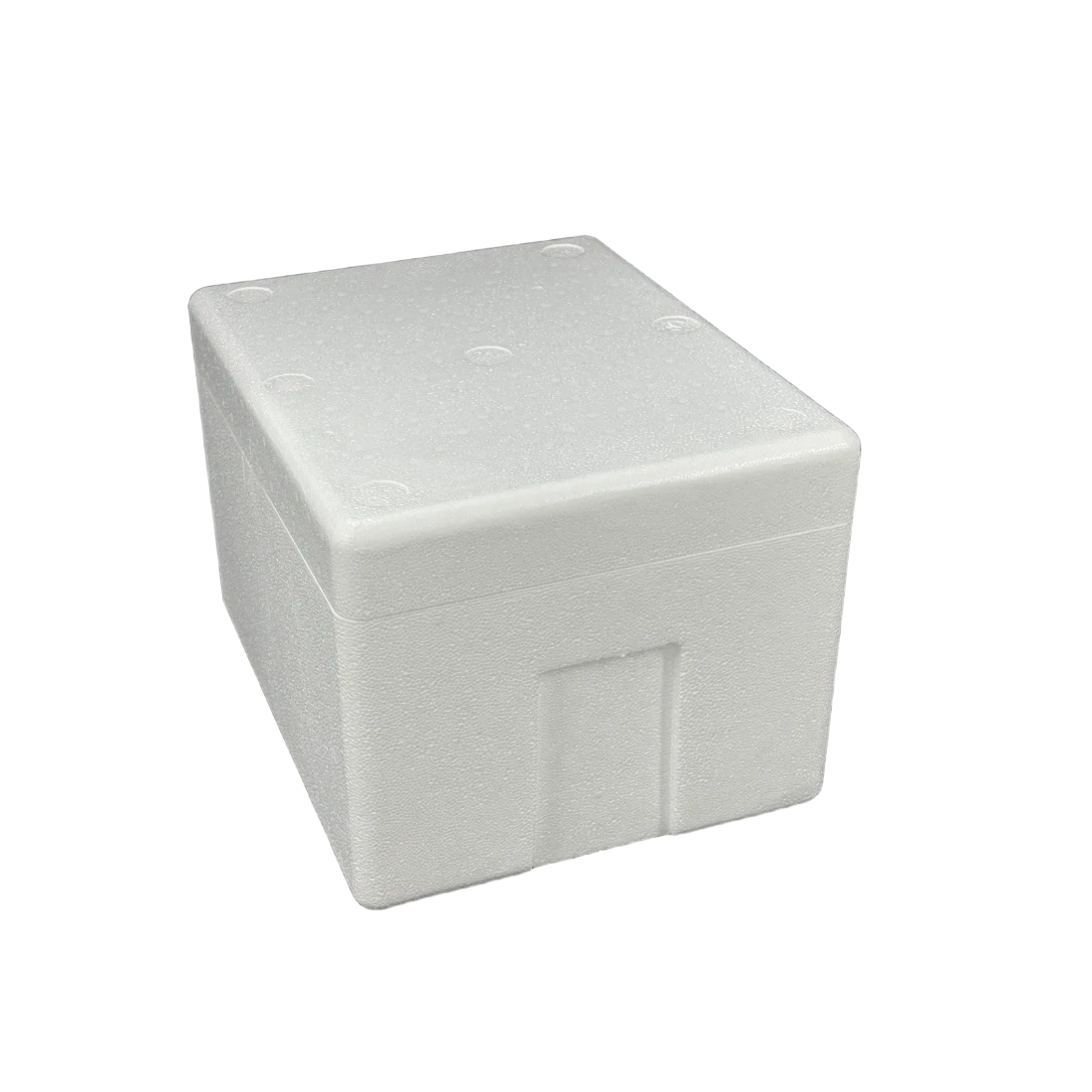 [낱개판매]20K박스 스치로폴/스티로폼/아이스박스/택배박스/다용도/김치/유통 넥스팩 공장직영 3,900원