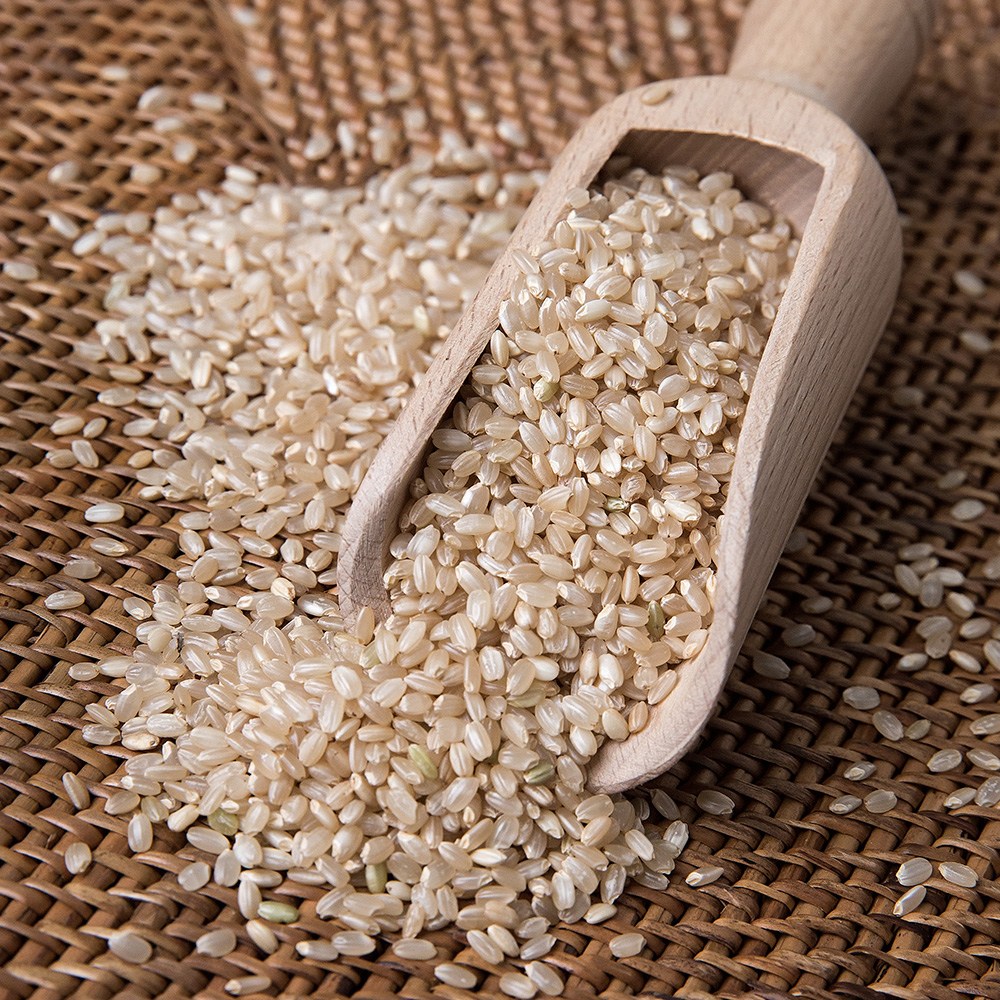 한반도 땅끝 쌀 현미 9,510원