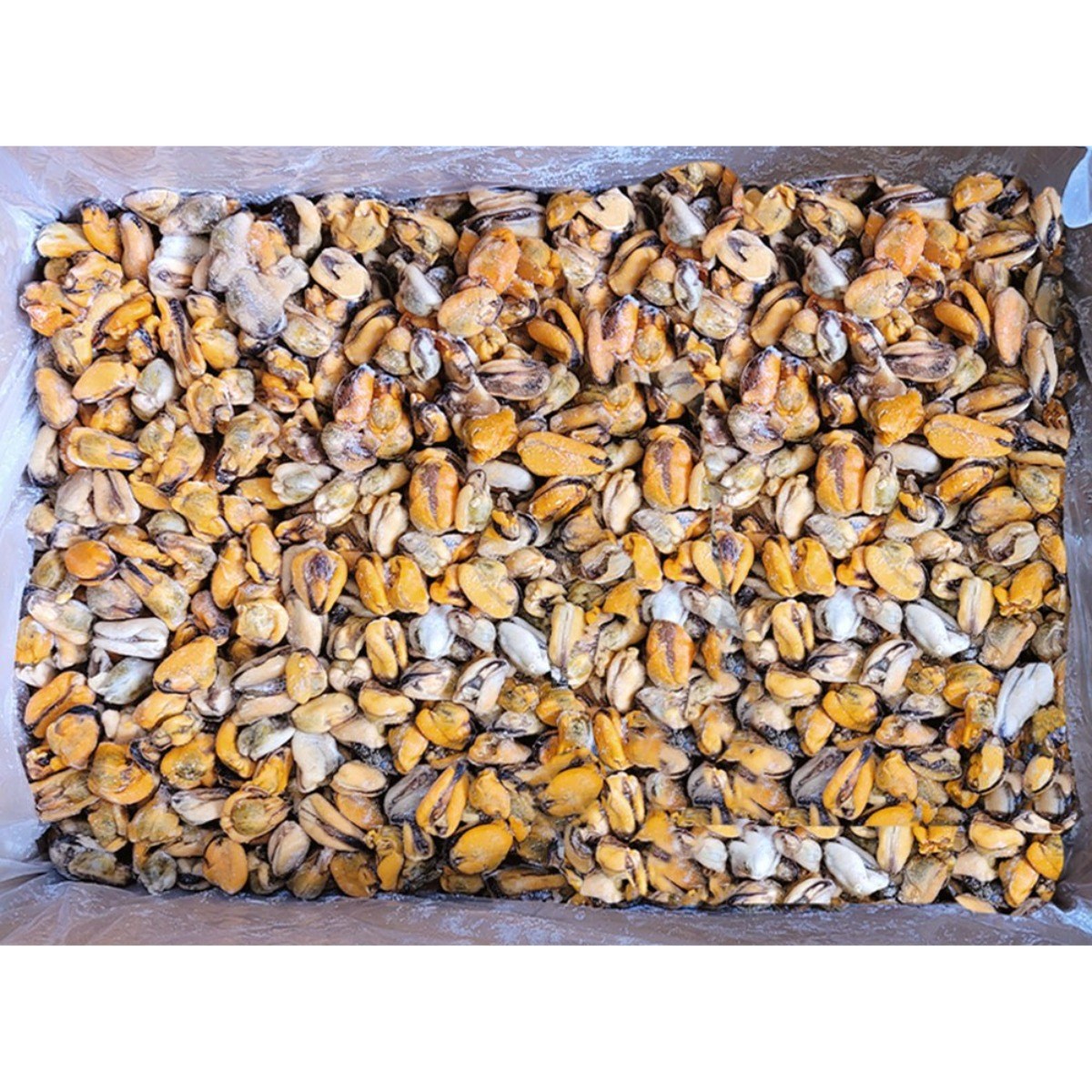 [씨기프트]냉동 자숙 홍합살 10kg 박스 벌크포장 업소용 55,900원