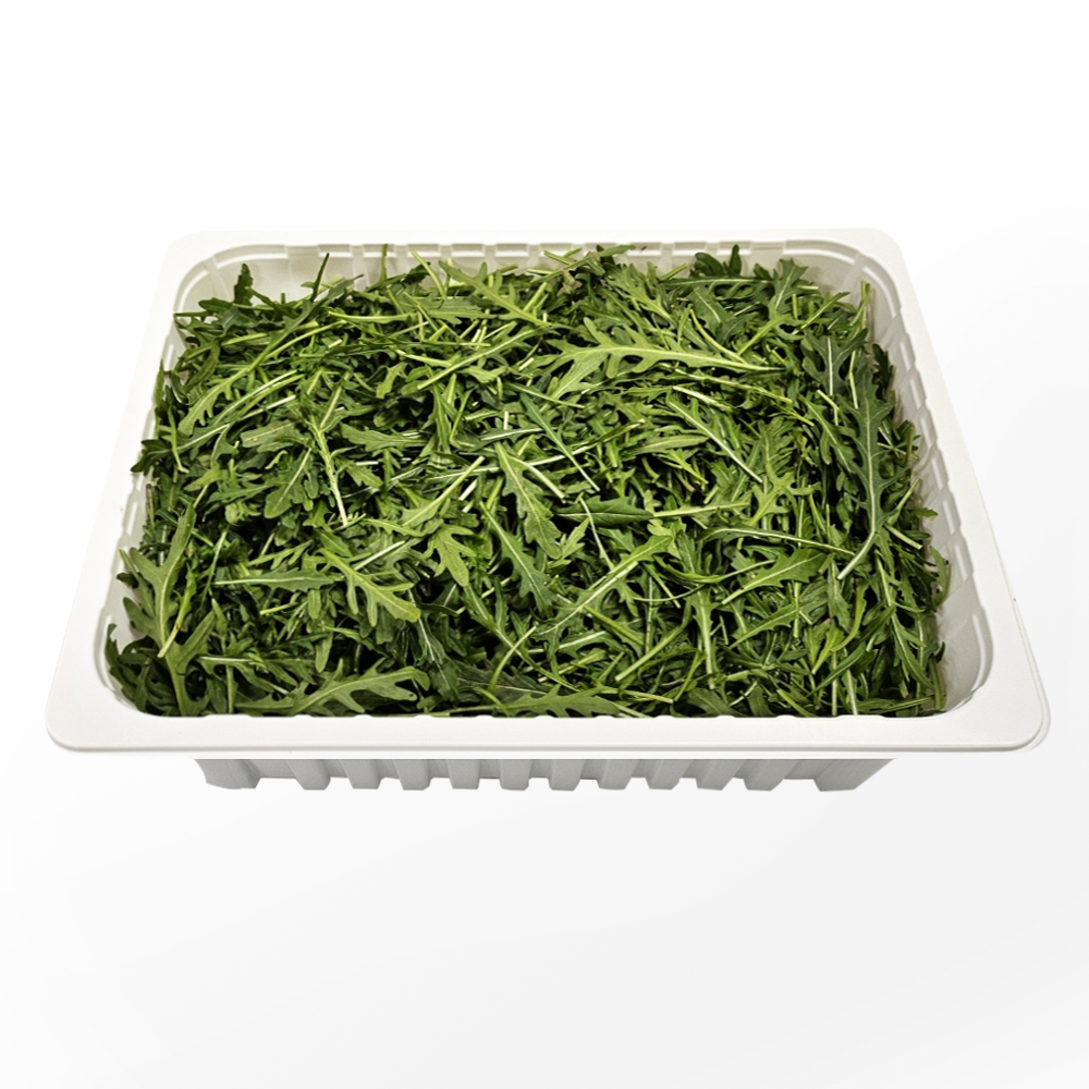 와일드 루꼴라, 1개, 500g 7,900원