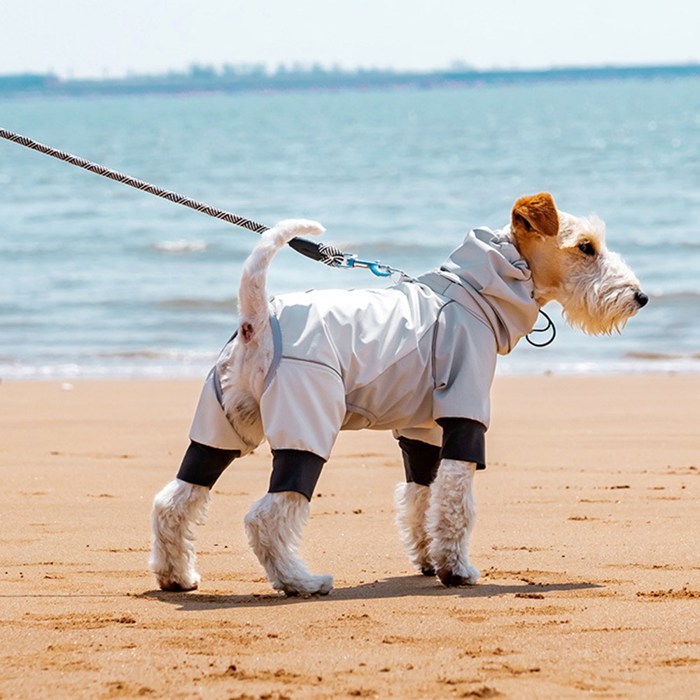 담다펫 강아지 전신우비 비옷 레인코트 캠핑옷 아웃도어, 1개, 라이트그레이 39,900원