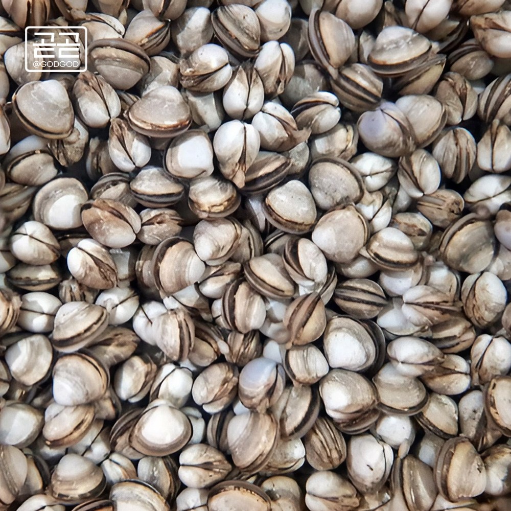 고창 동죽조개 서해안 제철 모시 물총 조개 1kg 3kg 5kg 7kg 10kg 해감완료 업소용 80,500원
