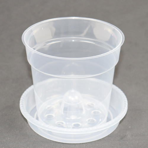 쌤마켓 투명화분 2,000원