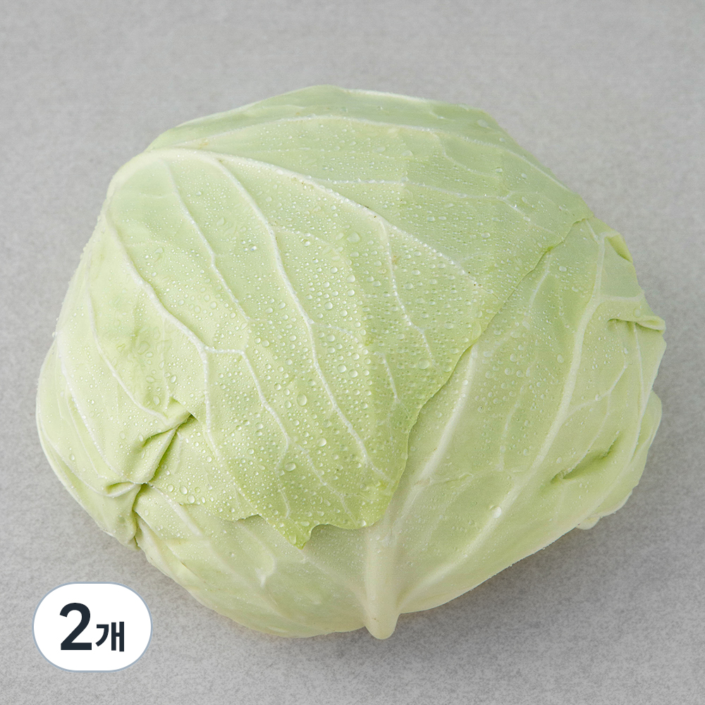 국내산 친환경 양배추 6,300원