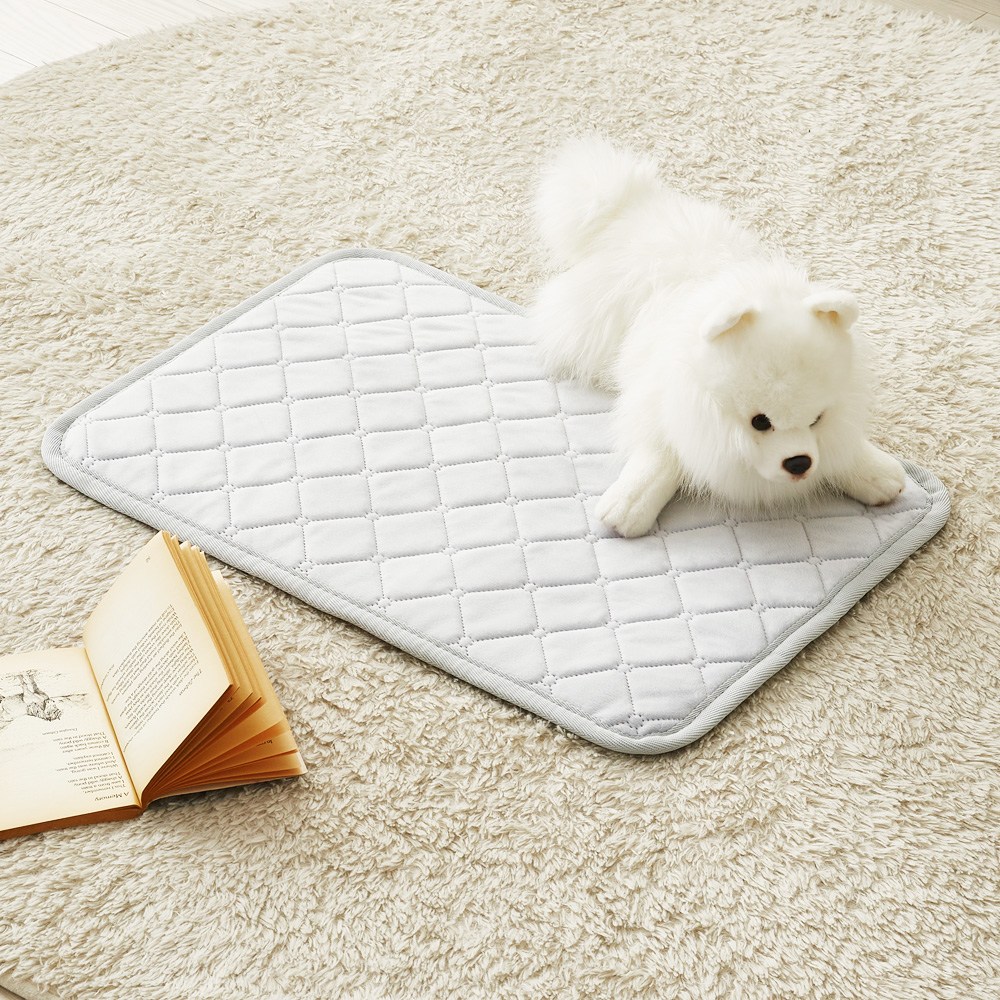 [26년형 두께UP] 한일좋은자리 전자파없는 프리미엄 양면극세사 강아지 고양이 탄소 전기 온열 방석 32,800원