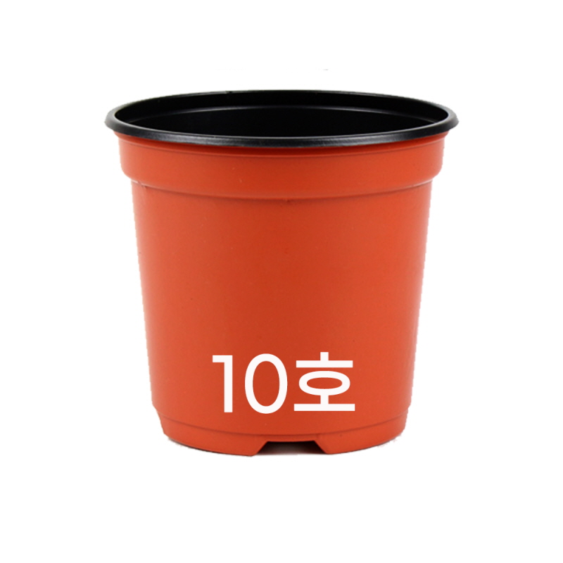 모두다 모종포트 육묘화분 삽목화분 이색포트 10cm 7,400원