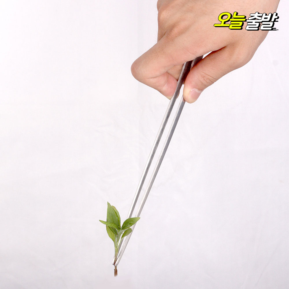 코코넷 롱 트리밍 수초집게 3Size 직선형 곡선형 어항 용품 커브형 수조 청소 핀셋  어항꾸미기 3,000원