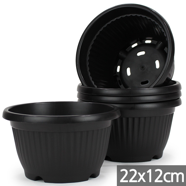 세인화분 플라스틱 원형 분재 화분 5P 세트 - 식물 분배분 재배분 화단 원형 플분 조성 분갈이 인테리어 꾸미기 베란다 분 재배 분배 11,480원