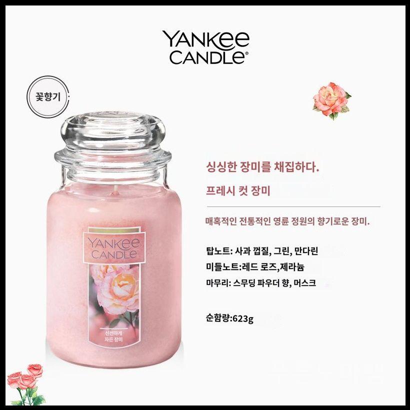 양키캔들 크리스마스 쿠키 라지 자 캔들 양키 87,200원