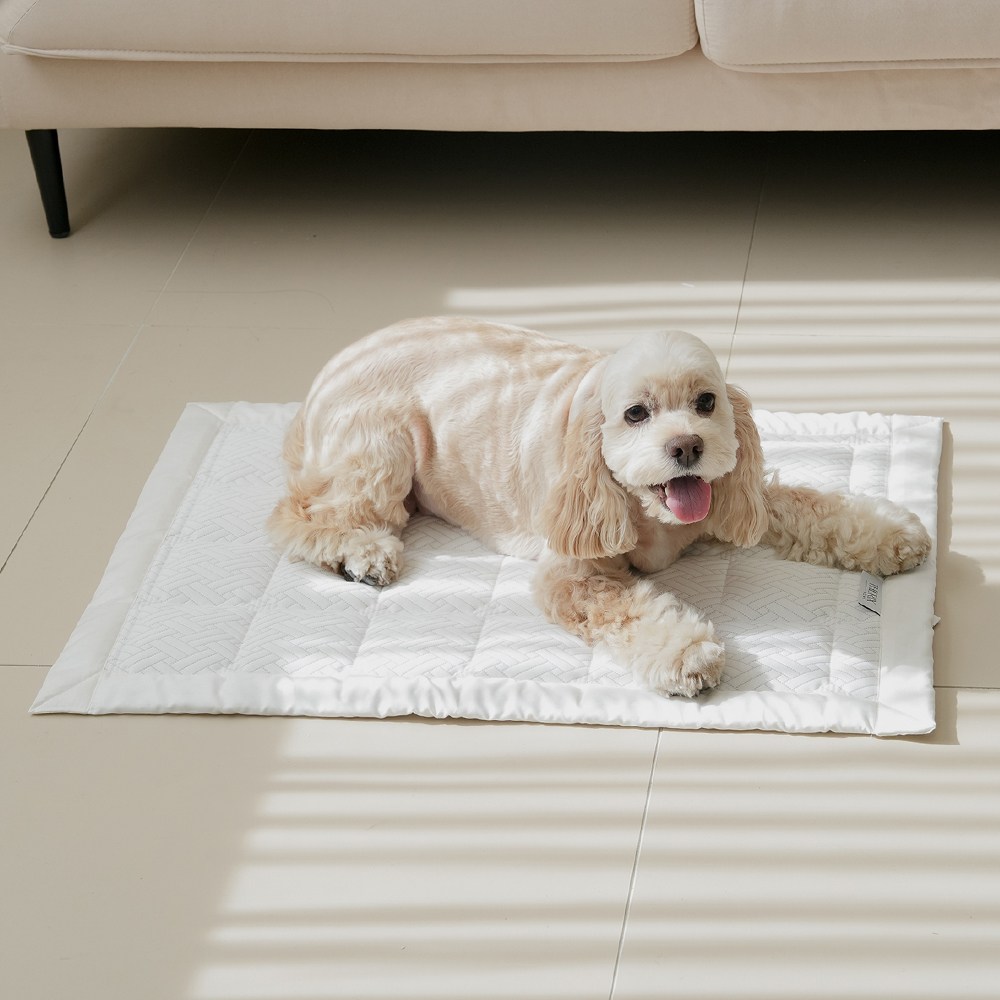 더릭스홈 코오롱 포르페 롱앤쿨 강아지 쿨매트 애견 고양이 반려동물 쿨방석 37,900원