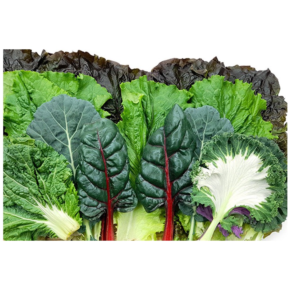 야채왕 모듬쌈 1kg (채소 랜덤) 18,000원