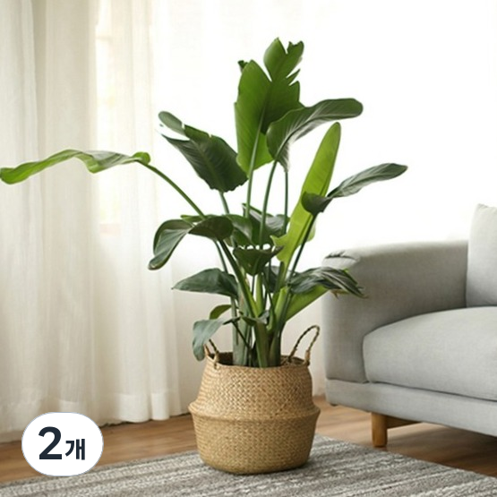 코드86 인테리어 라탄 화분커버 바구니 12,960원