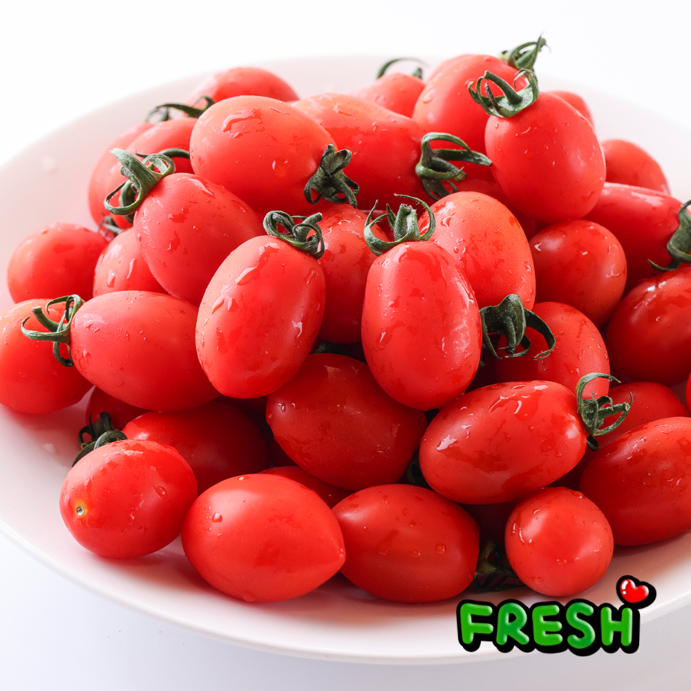 푸른마을 로얄과 대추방울토마토 국내산 당일출고 당일배송, 1박스, 대추방울 토마토 5kg(로얄과) 49,900원