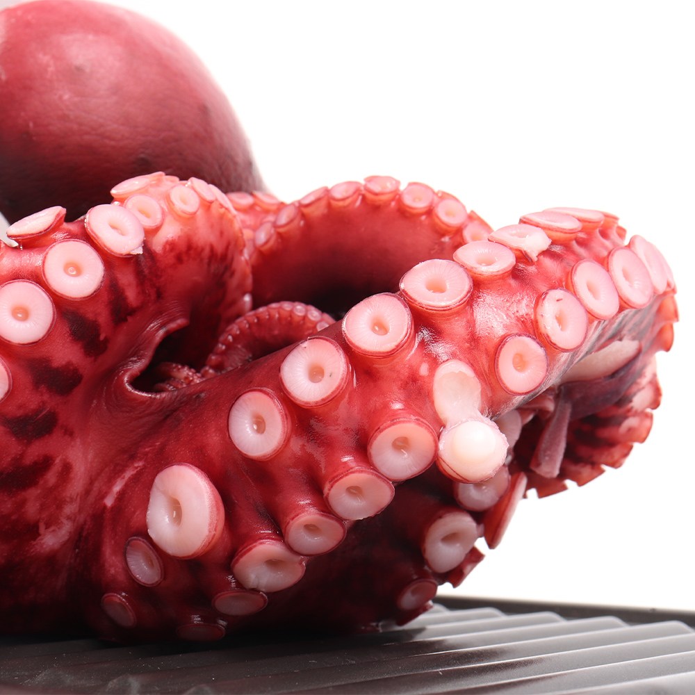 더줌 자숙문어 데친 제수용 냉동 문어 숙회 한마리 1kg, 1.3kg 1.5kg 26,090원