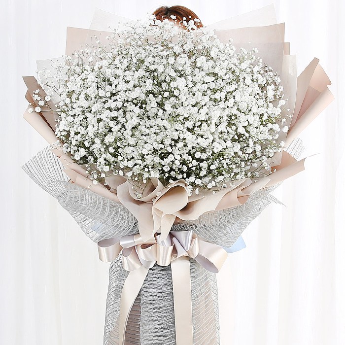 99플라워 (당일수령) 대형 안개 다발 [ST-C572] - 전국꽃배달서비스 이벤트 기념일 생일 생화 꽃선물 당일배송 꽃다발 대형꽃다발 126,100원