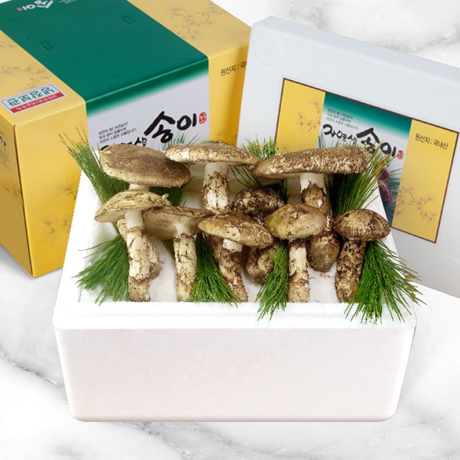 소중한만큼 고마운선물 강원 양양 자연산 송이 버섯 179,000원