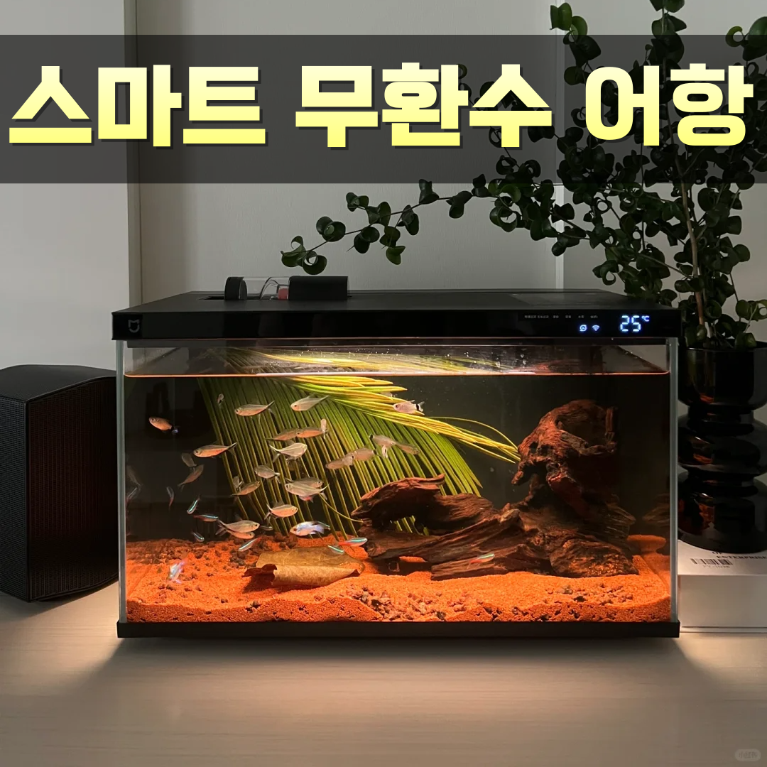 키노 무환수 자동청소 급여 스마트 수족관 물고기 구피 일체형 어항 대형 151,900원