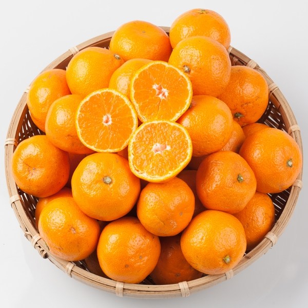 진하고 당도 높은 특품 국내산 조생 타이백 감귤, 1박스, 조생 타이백 감귤 9kg 랜덤과 62,000원