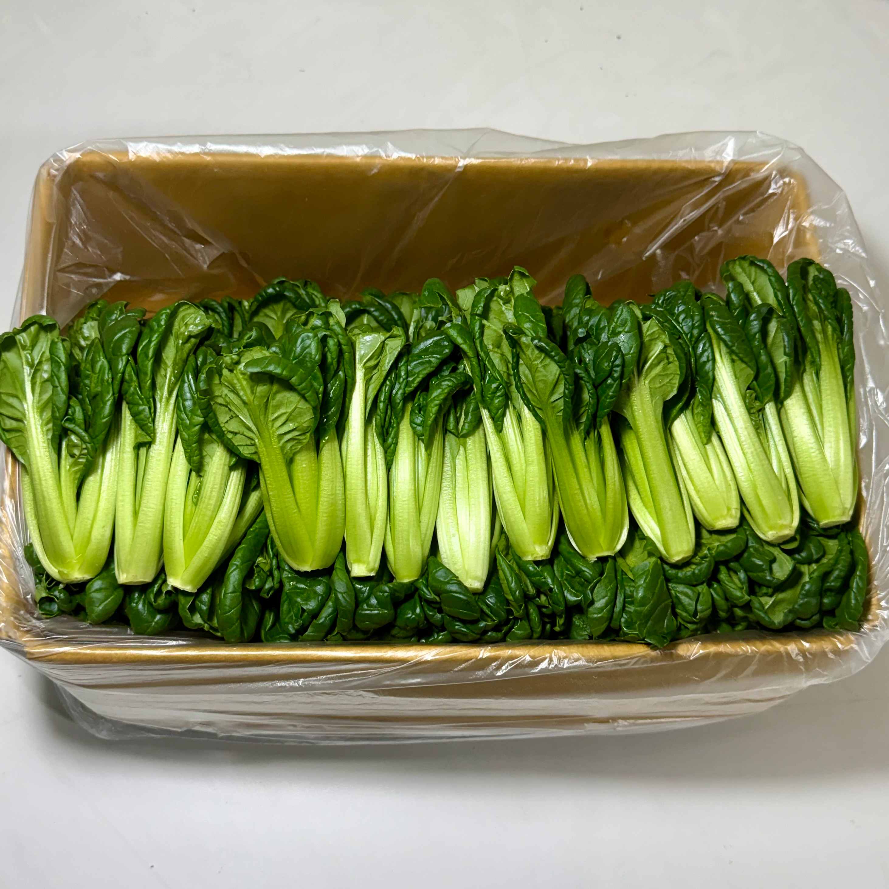 농진사 다채 비타민 채소, 1개, 2kg 11,900원