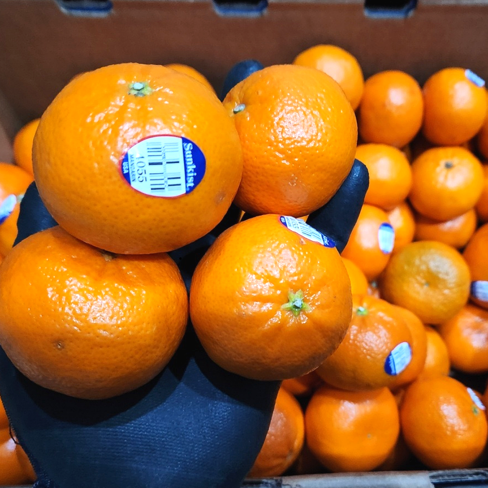 선한마켓) 미국산 고당도 만다린 감귤, 1박스, 5kg 41,000원