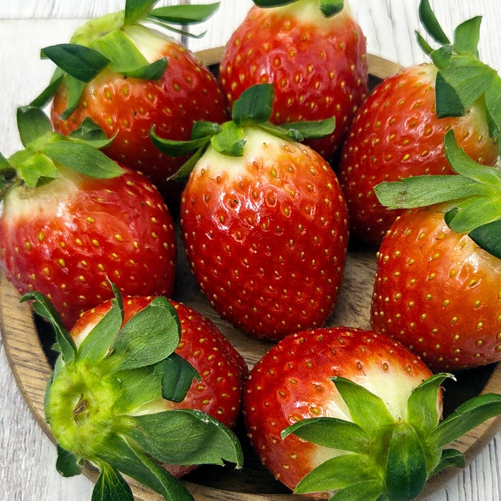 담양 GAP 설향 딸기, 1박스, 500g 중과 18,900원