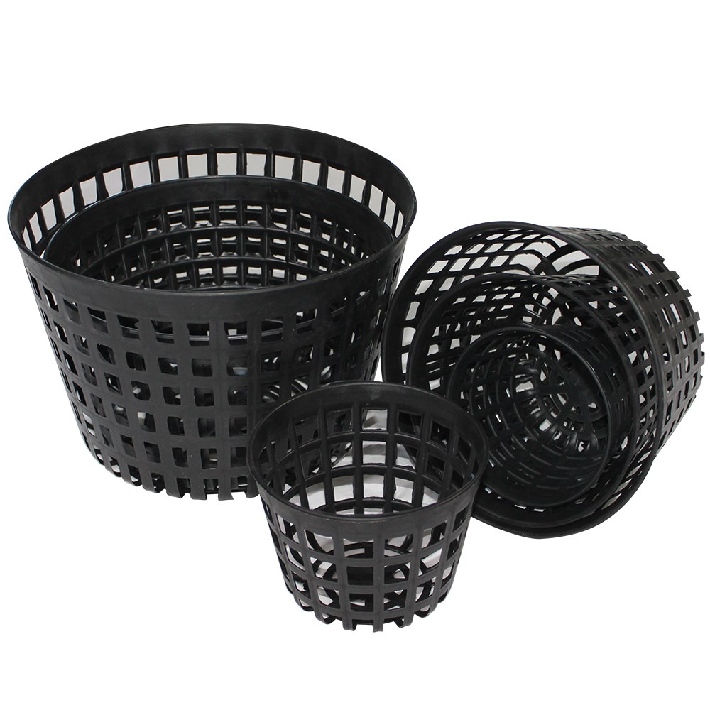 망포트 3.5호 육묘 모종 구근 삽목 플라스틱 화분, 50개 62,900원