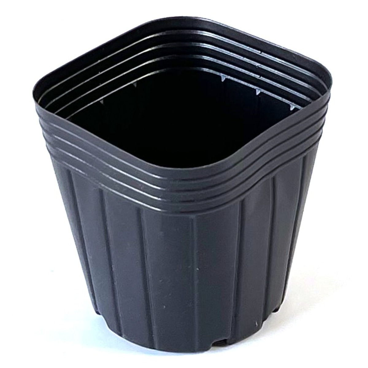 사각비닐포트 3치반 500개 플라스틱화분 모종 분갈이, 500개 50,000원