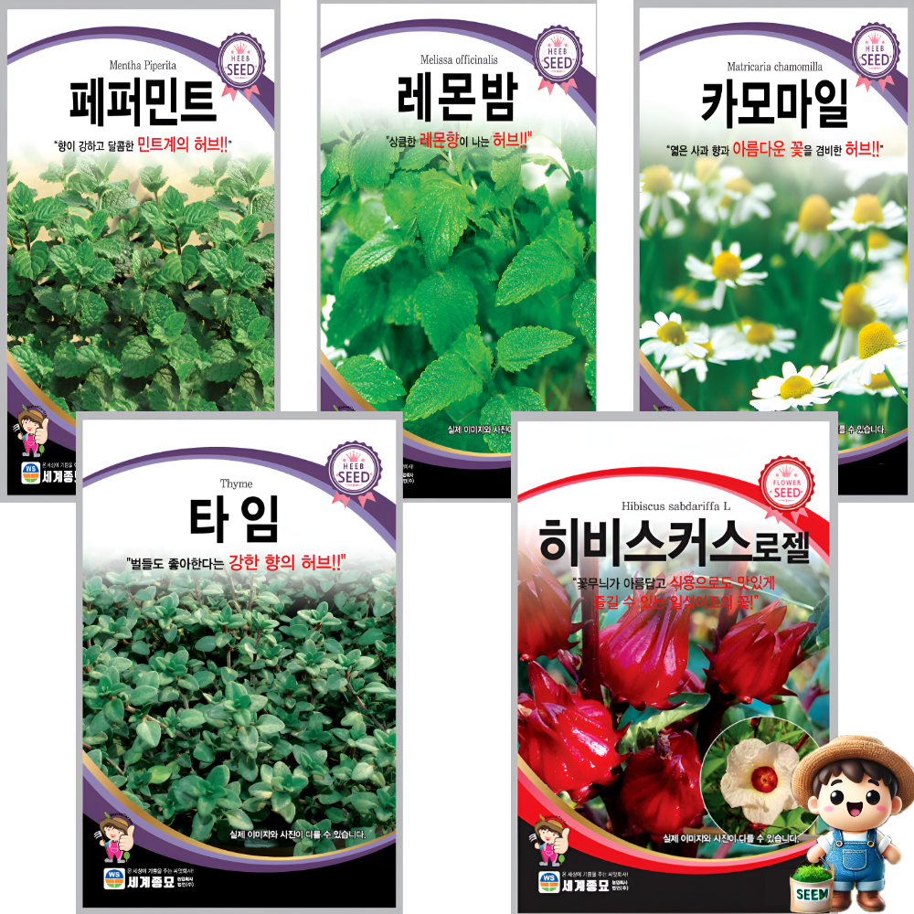 허브티 씨앗 5종 세트 페퍼민트 레몬밤 카모마일 타임 히비스커스 허브차 15,000원