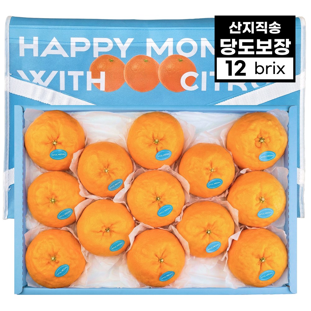 26년 설 프리미엄 과일 선물세트 레드향 한라봉 윈터프린스 천혜향, 1박스, 4kg 58,900원