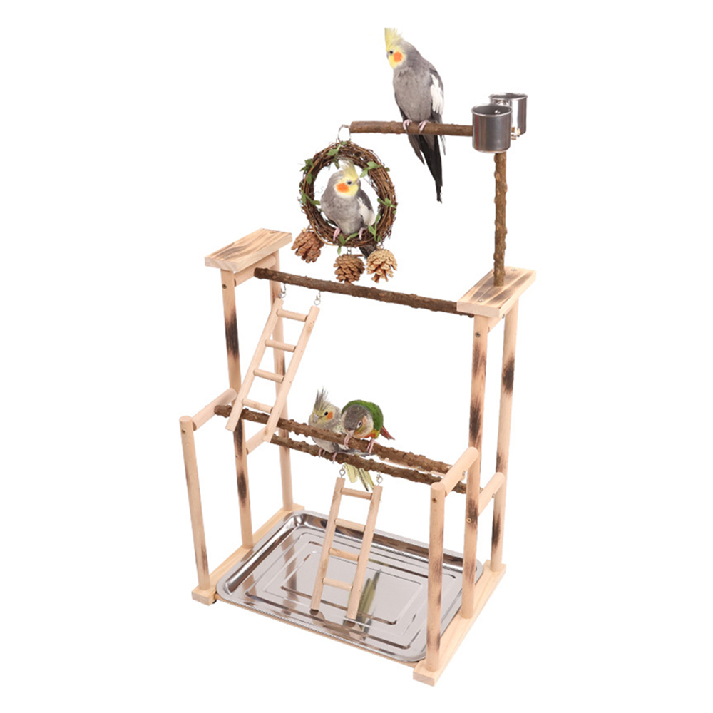 칠시 앵무새 후추나무 놀이터 대형, 혼합색상, 1개 48,900원