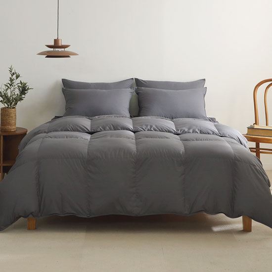 라셀렌 빌리프 폴란드 90 구스다운 차렵이불 800g 679,000원