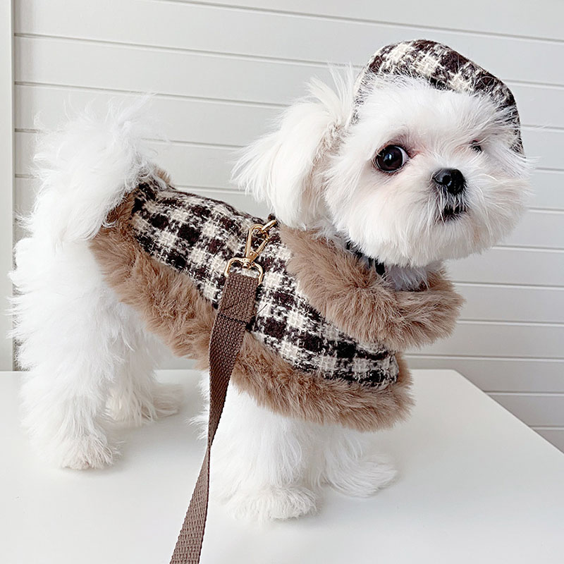 FULIBS 명품강아지옷 하네스 리드줄 세트 겨울 강아지망토 35,620원