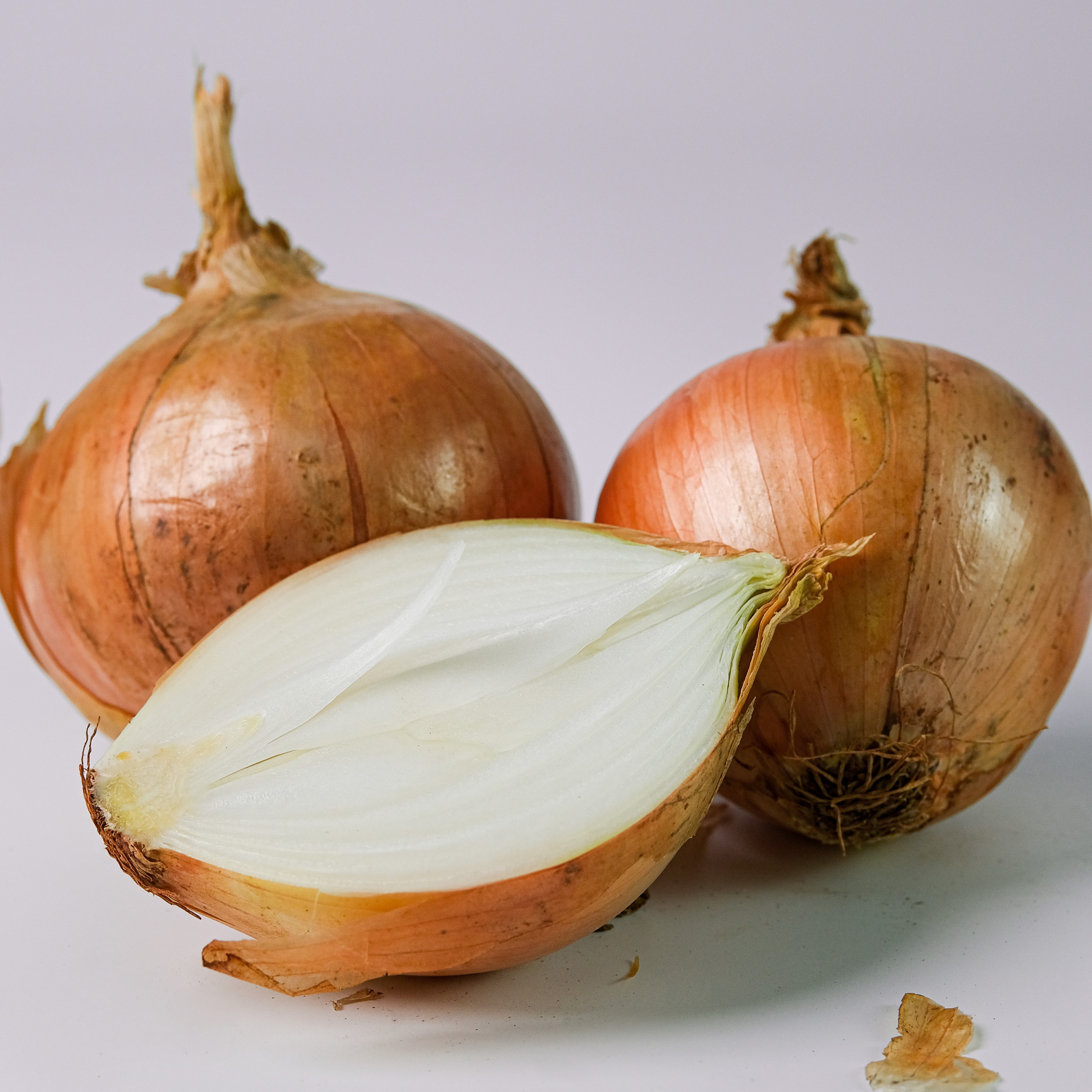 달큰하고 시원한 국내산 햇양파 22,900원