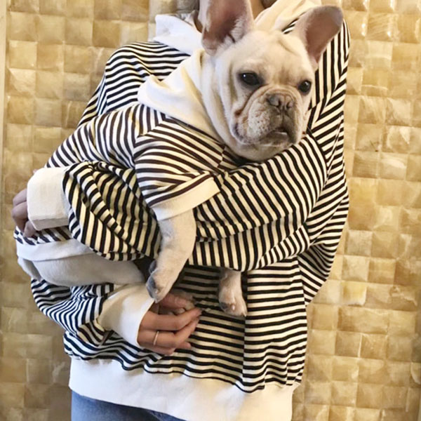 5시주문건 당일배송 신상 제이스 스트라이프 팸펫룩 강아지커플룩 커플티 빠른배송, 블랙 43,900원