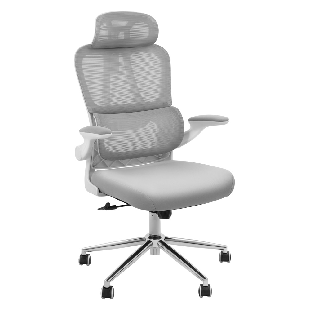 FlexiSpot 사무용의자 OC6 편안한 천연 스펀지 최저높이 40.5cm 최대하중122KG 금속프레임 요추보호 컴퓨터의자, 그레이 108,000원